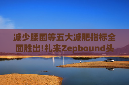 减少腰围等五大减肥指标全面胜出!礼来Zepbound头对头试验碾压诺和诺德(NVO.US)Wegovy
