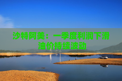 沙特阿美:一季度利润下滑 油价持续波动