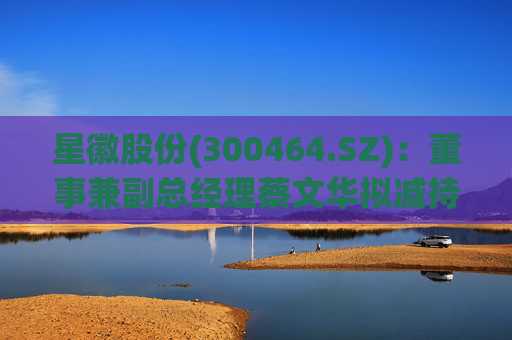 星徽股份(300464.SZ)：董事兼副总经理蔡文华拟减持20.25万股