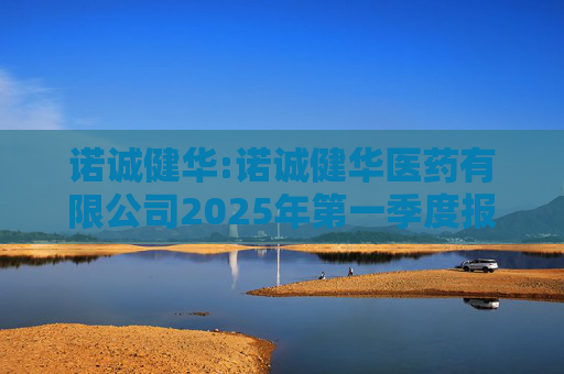 诺诚健华:诺诚健华医药有限公司2025年第一季度报告  第1张