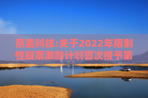 燕麦科技:关于2022年限制性股票激励计划首次授予第二个归属期归属结果暨股份上市的公告  第1张