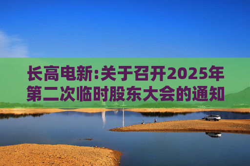 长高电新:关于召开2025年第二次临时股东大会的通知