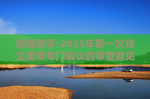 创维数字:2025年第一次独立董事专门会议的审查意见
