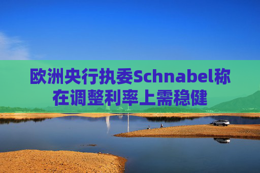 欧洲央行执委Schnabel称在调整利率上需稳健
