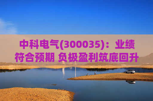 中科电气(300035)：业绩符合预期 负极盈利筑底回升