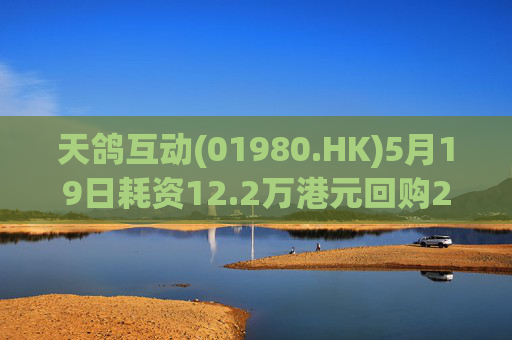 天鸽互动(01980.HK)5月19日耗资12.2万港元回购20万股