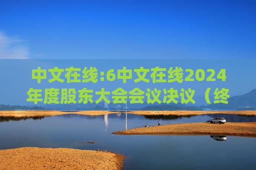 中文在线:6中文在线2024年度股东大会会议决议（终版）