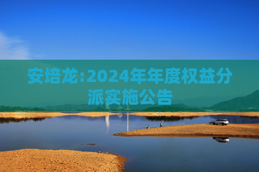安培龙:2024年年度权益分派实施公告