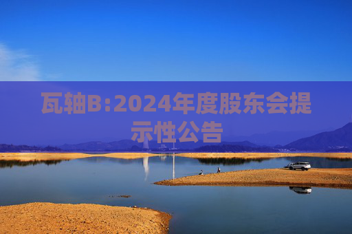 瓦轴B:2024年度股东会提示性公告
