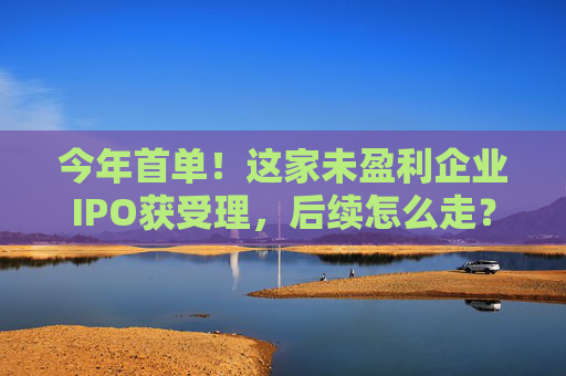 今年首单!这家未盈利企业IPO获受理,后续怎么走? 第1张 今年首单!这家未盈利企业IPO获受理,后续怎么走? 第1张