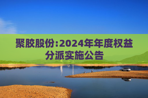 聚胶股份:2024年年度权益分派实施公告