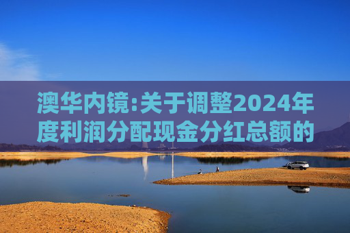 澳华内镜:关于调整2024年度利润分配现金分红总额的公告