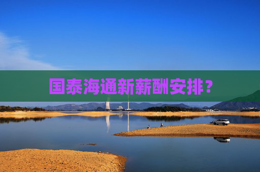 国泰海通新薪酬安排? 第1张 国泰海通新薪酬安排? 第1张
