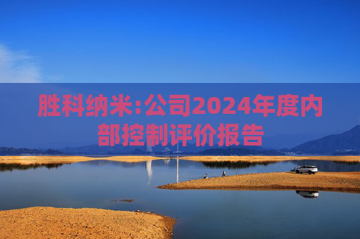 胜科纳米:公司2024年度内部控制评价报告  第1张