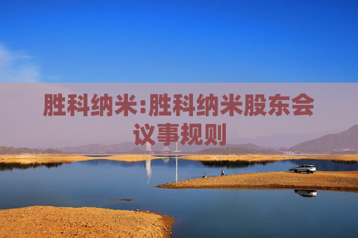 胜科纳米:胜科纳米股东会议事规则