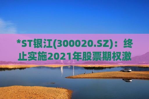 *ST银江(300020.SZ):终止实施2021年股票期权激励计划及2023年限制性股票激励计划