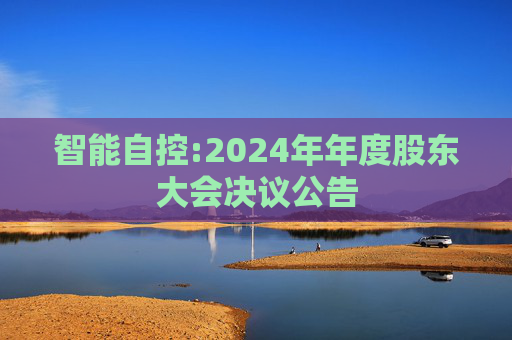 智能自控:2024年年度股东大会决议公告  第1张