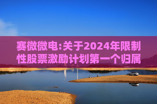 赛微微电:关于2024年限制性股票激励计划第一个归属期归属条件成就的公告  第1张