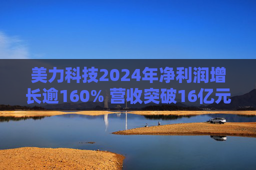 美力科技2024年净利润增长逾160% 营收突破16亿元