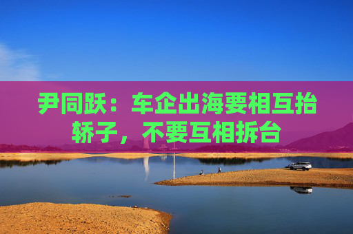 尹同跃：车企出海要相互抬轿子，不要互相拆台