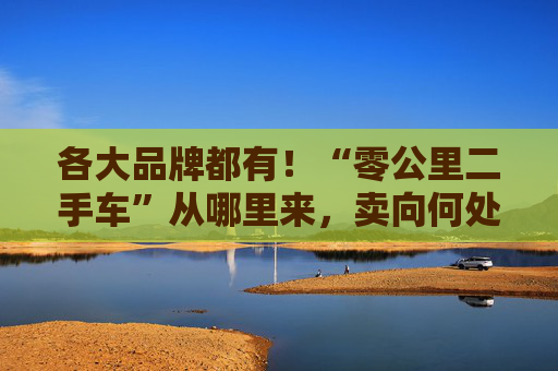 各大品牌都有！“零公里二手车”从哪里来，卖向何处，影响有多大？