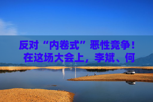 反对“内卷式”恶性竞争！  在这场大会上，李斌、何小鹏、閤先庆等表态“价格战”