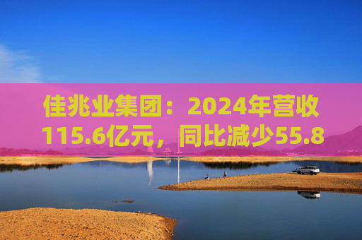 佳兆业集团:2024年营收115.6亿元,同比减少55.8%