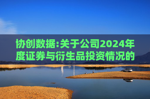 协创数据:关于公司2024年度证券与衍生品投资情况的专项报告