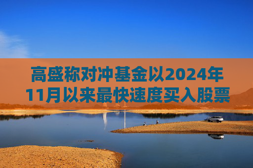 高盛称对冲基金以2024年11月以来最快速度买入股票  第1张