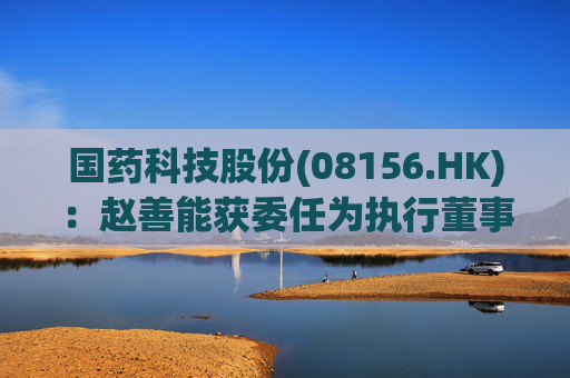 国药科技股份(08156.HK)：赵善能获委任为执行董事
