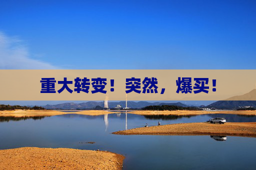 重大转变！突然，爆买！