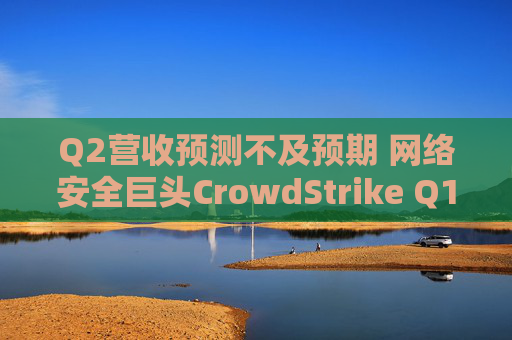 Q2营收预测不及预期 网络安全巨头CrowdStrike Q1绩后暴跌6%  第1张