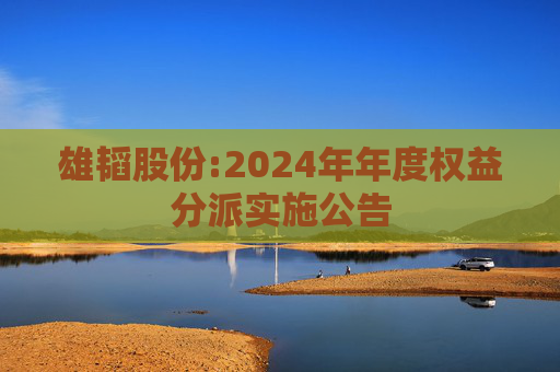 雄韬股份:2024年年度权益分派实施公告