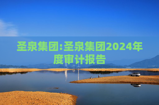 圣泉集团:圣泉集团2024年度审计报告