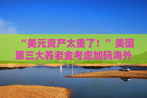 “美元资产太重了！”美国第三大养老金考虑加码海外投资