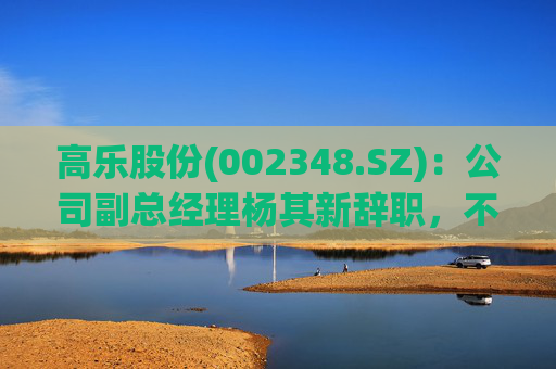 高乐股份(002348.SZ)：公司副总经理杨其新辞职，不再担任公司及控股子公司任何职务