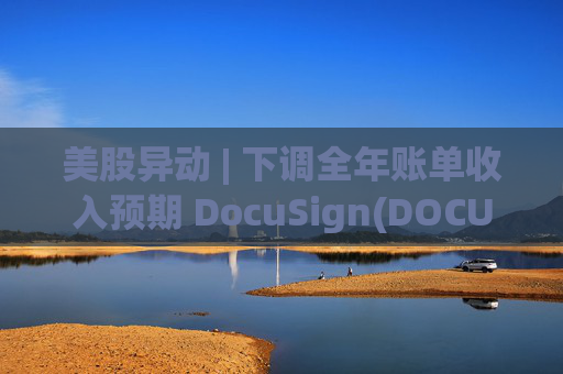 美股异动 | 下调全年账单收入预期 DocuSign(DOCU.US)大跌超18%