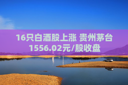16只白酒股上涨 贵州茅台1556.02元/股收盘