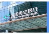 民生银行：在“止血”与“生长”之间