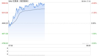 《黄金行业“十五五”发展规划（讨论稿）》专家研讨会在北京召开