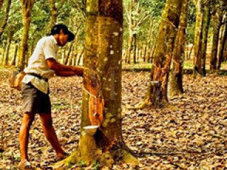 如何计算轮胎只换橡胶的费用？这种费用的构成因素有哪些？