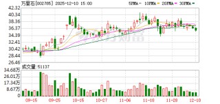 万里石：公司及控股子公司无逾期担保