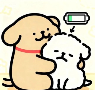 没有伴侣，健康会更差吗？来自50万中国人的长期追踪证据