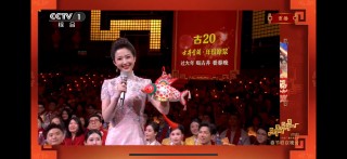 白酒企业仍然青睐春晚舞台，但玩法变了