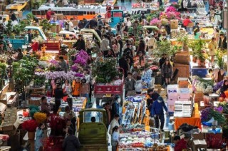 平稳开局！开年首月社会融资规模增量达7.22万亿元