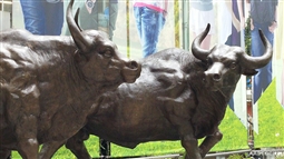 如何理解资本市场参与者的角色？这些角色对市场有什么影响？  第1张