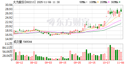 大为股份：旗下锂矿已完成勘探评审备案 正在办理探矿权转采矿权手续  第1张