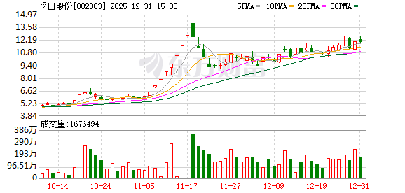孚日股份:子公司孚日新能源投资建设了锂电池电解液添加剂项目,目前运营一切正常 第1张 孚日股份:子公司孚日新能源投资建设了锂电池电解液添加剂项目,目前运营一切正常 第1张