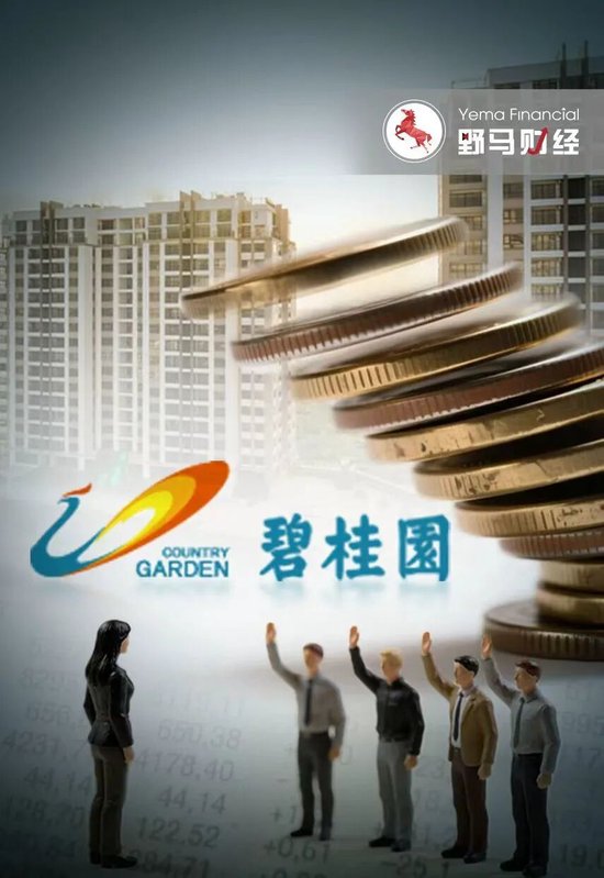 杨惠妍被罚、董事会力挺！碧桂园千亿债务危机解除了吗？  第1张