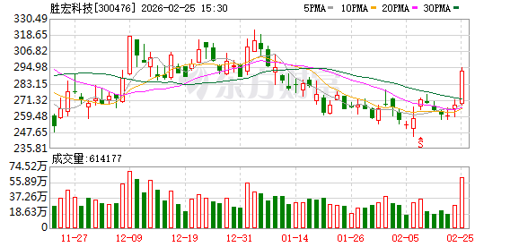 胜宏科技更新递交H股发行申请  第1张